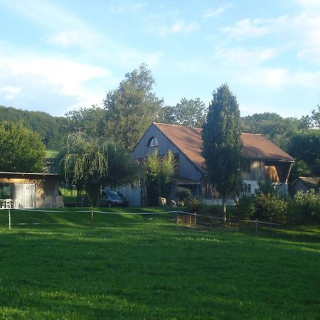 Bnb Pavillon Paisible Orsonnens Екстер'єр фото